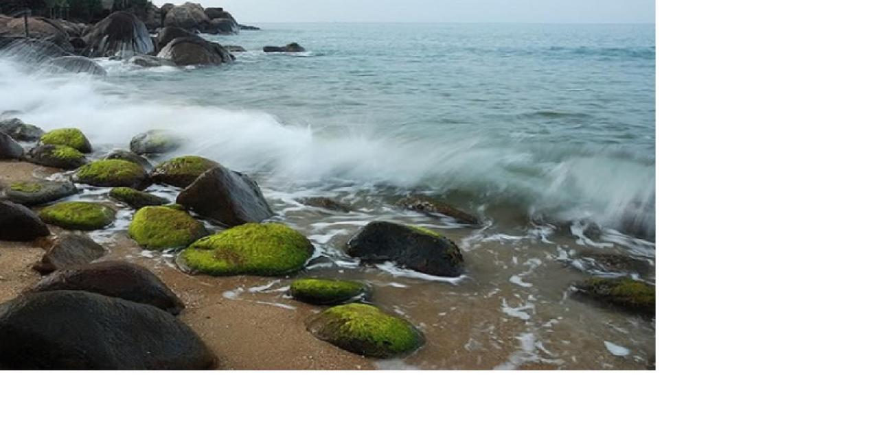 Da Nang Minh Hai Dış mekan fotoğraf